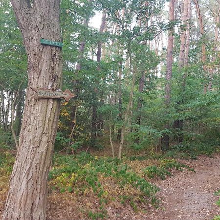 Blockhaus Canow Mit Fahrraedern Zewnętrze zdjęcie